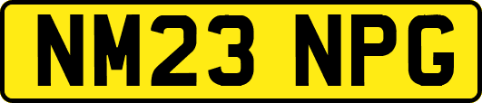 NM23NPG