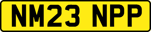 NM23NPP