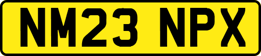 NM23NPX