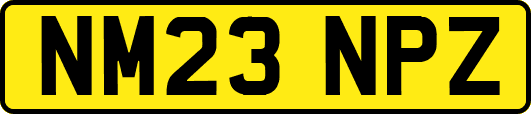 NM23NPZ