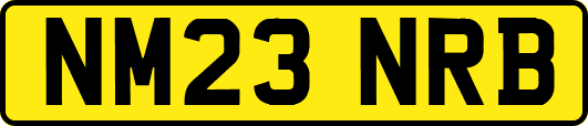 NM23NRB