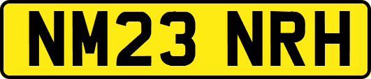 NM23NRH
