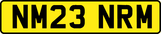 NM23NRM