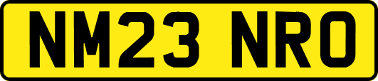 NM23NRO