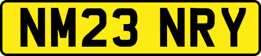NM23NRY