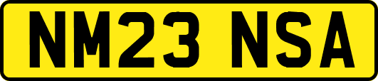 NM23NSA