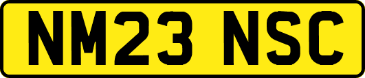 NM23NSC