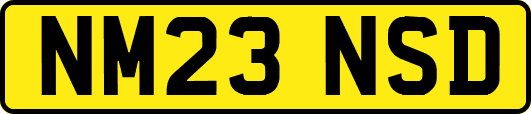 NM23NSD