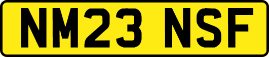 NM23NSF