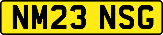 NM23NSG