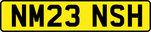 NM23NSH