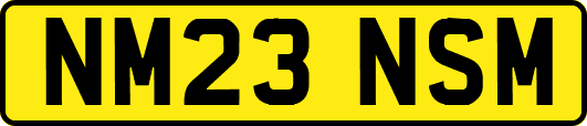 NM23NSM