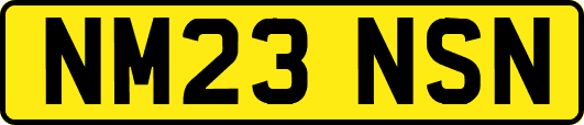 NM23NSN