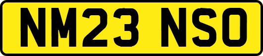 NM23NSO