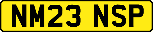 NM23NSP