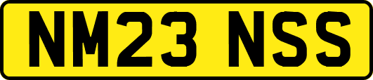 NM23NSS