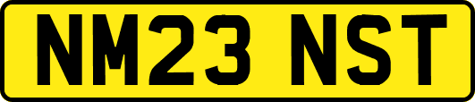 NM23NST