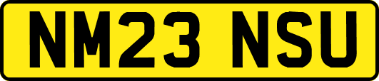 NM23NSU