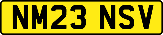 NM23NSV