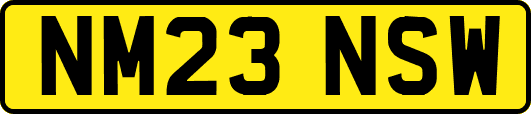NM23NSW