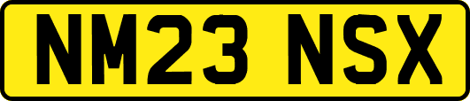 NM23NSX