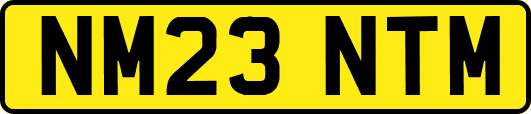 NM23NTM