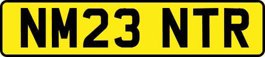 NM23NTR