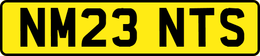 NM23NTS