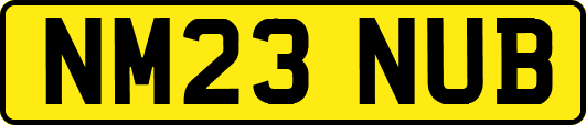 NM23NUB