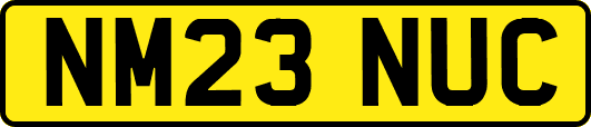 NM23NUC