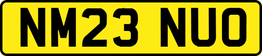 NM23NUO