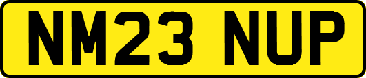 NM23NUP