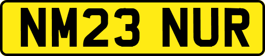 NM23NUR