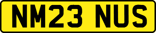 NM23NUS