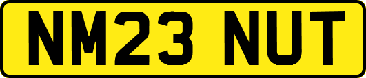 NM23NUT