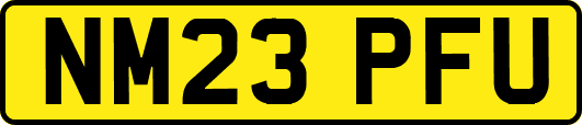 NM23PFU