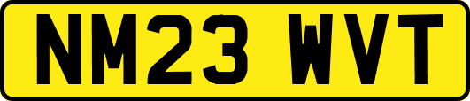 NM23WVT