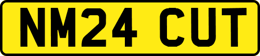 NM24CUT