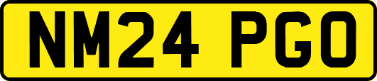 NM24PGO