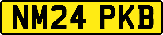 NM24PKB