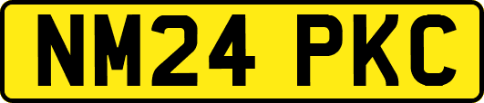 NM24PKC