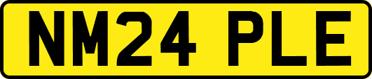 NM24PLE