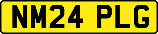 NM24PLG