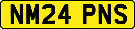 NM24PNS
