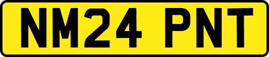 NM24PNT