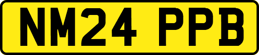 NM24PPB