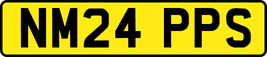 NM24PPS