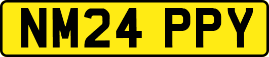 NM24PPY