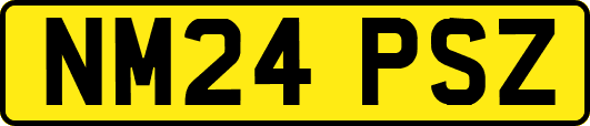 NM24PSZ