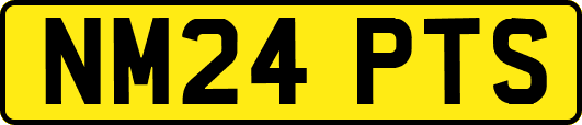 NM24PTS
